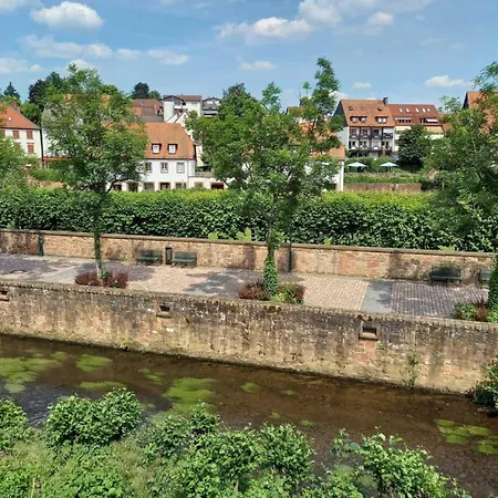 Alloggio in famiglia Muemling 2 Erbach (Odenwaldkreis)