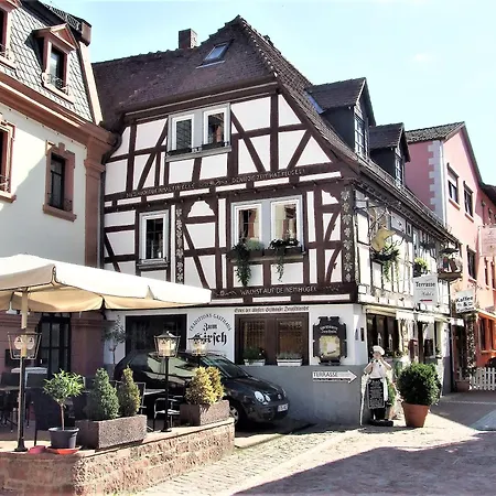 Muemling 2 Alloggio in famiglia *